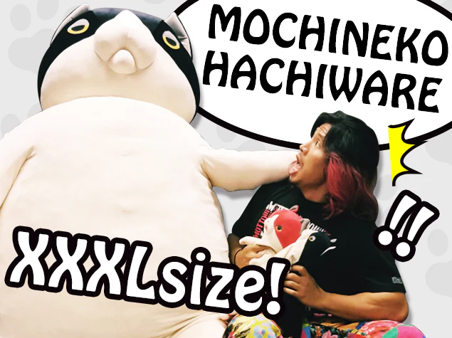 もちねこ ハチワレ（XXXL） - Image 10